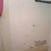 Rising Damp